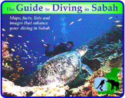 The Guide to Diving in Sabah