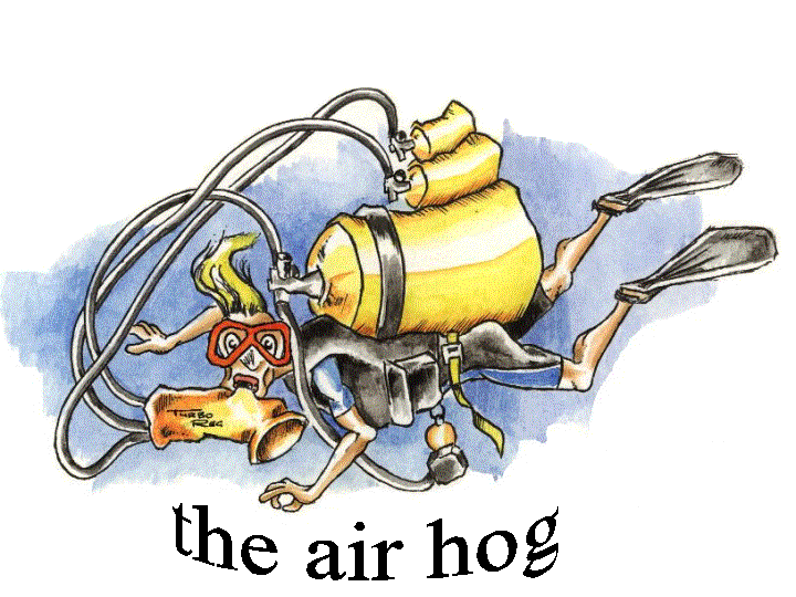 The Air Hog by John Hearne
