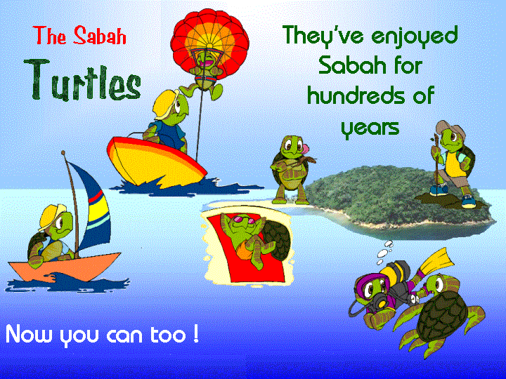Sabah Turtle Fun