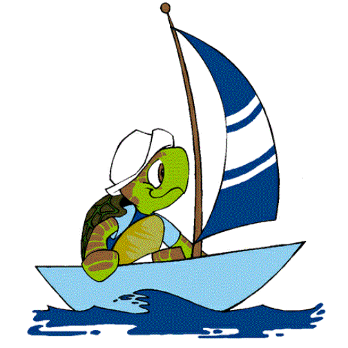 Sailing Turtle