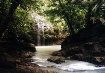 Photo of Veil Falls & cave